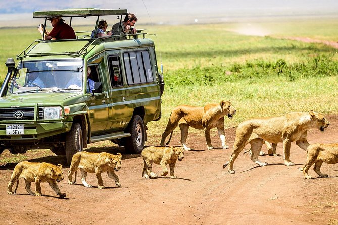 Tarangire Safari